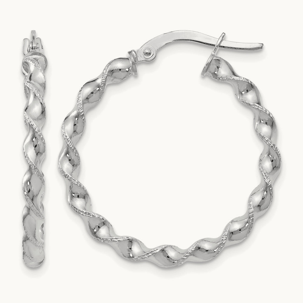 Twisted Hoop Earrings — Leslie's — photo set