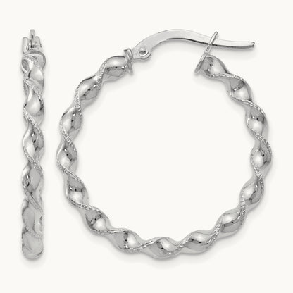 Twisted Hoop Earrings — Leslie's — photo set