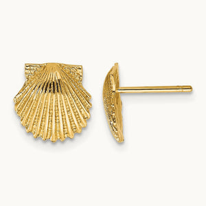 Scallop Shell Post Earrings, 14K