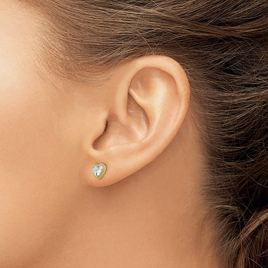 w/ D/C Heart Post Earrings — photo set