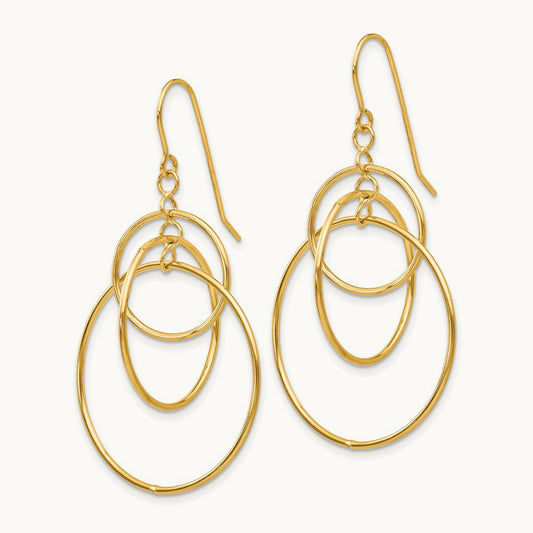Polished Circles Dangle Earrings — photo set