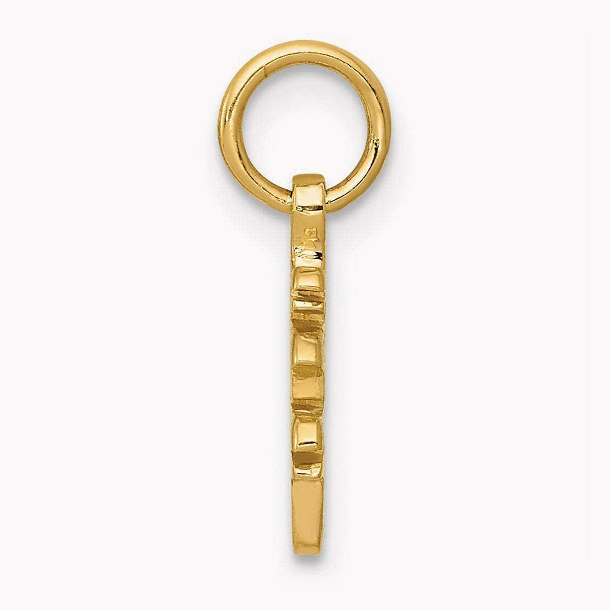 Solid Polished Chinese Long Life Charm — photo set