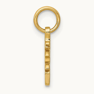 Solid Polished Chinese Long Life Charm — photo set