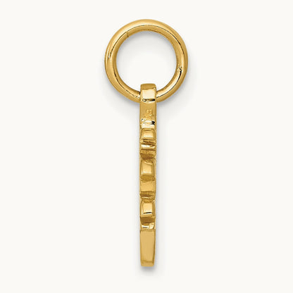 Solid Polished Chinese Long Life Charm — photo set