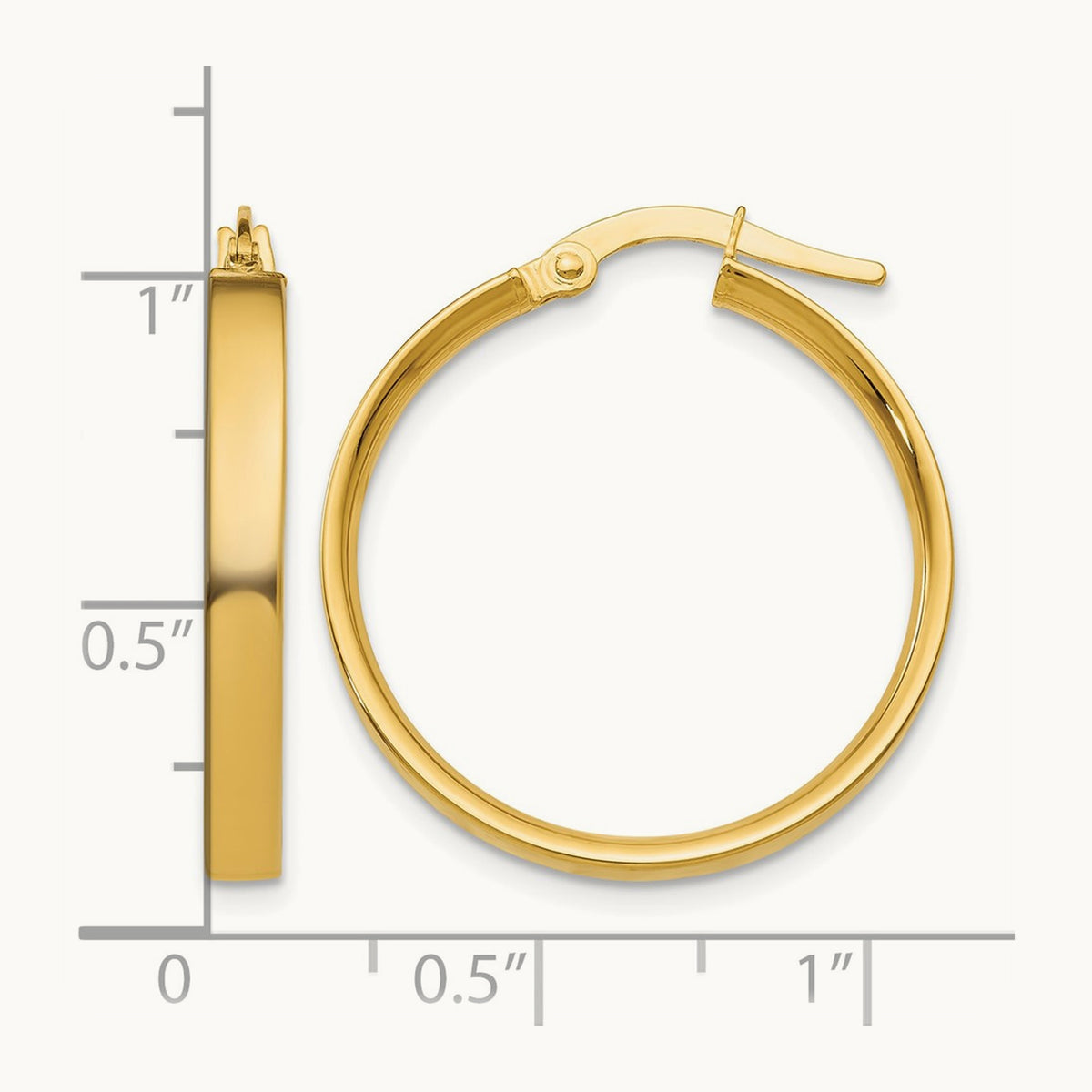 Medium Hoop Earrings — 14K Yellow Gold