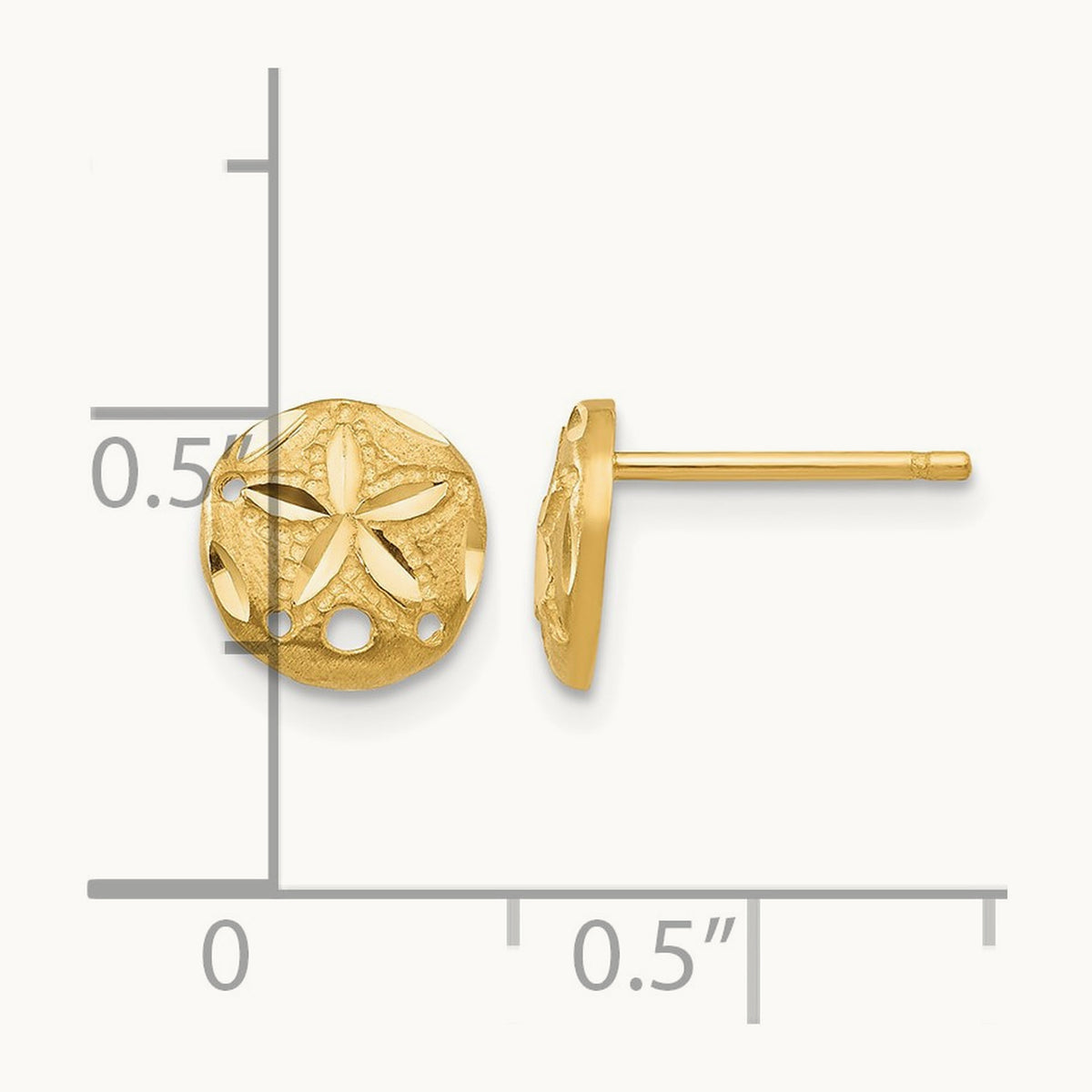 Diamond-cut Sand Dollar Earrings — 14K Yellow Gold