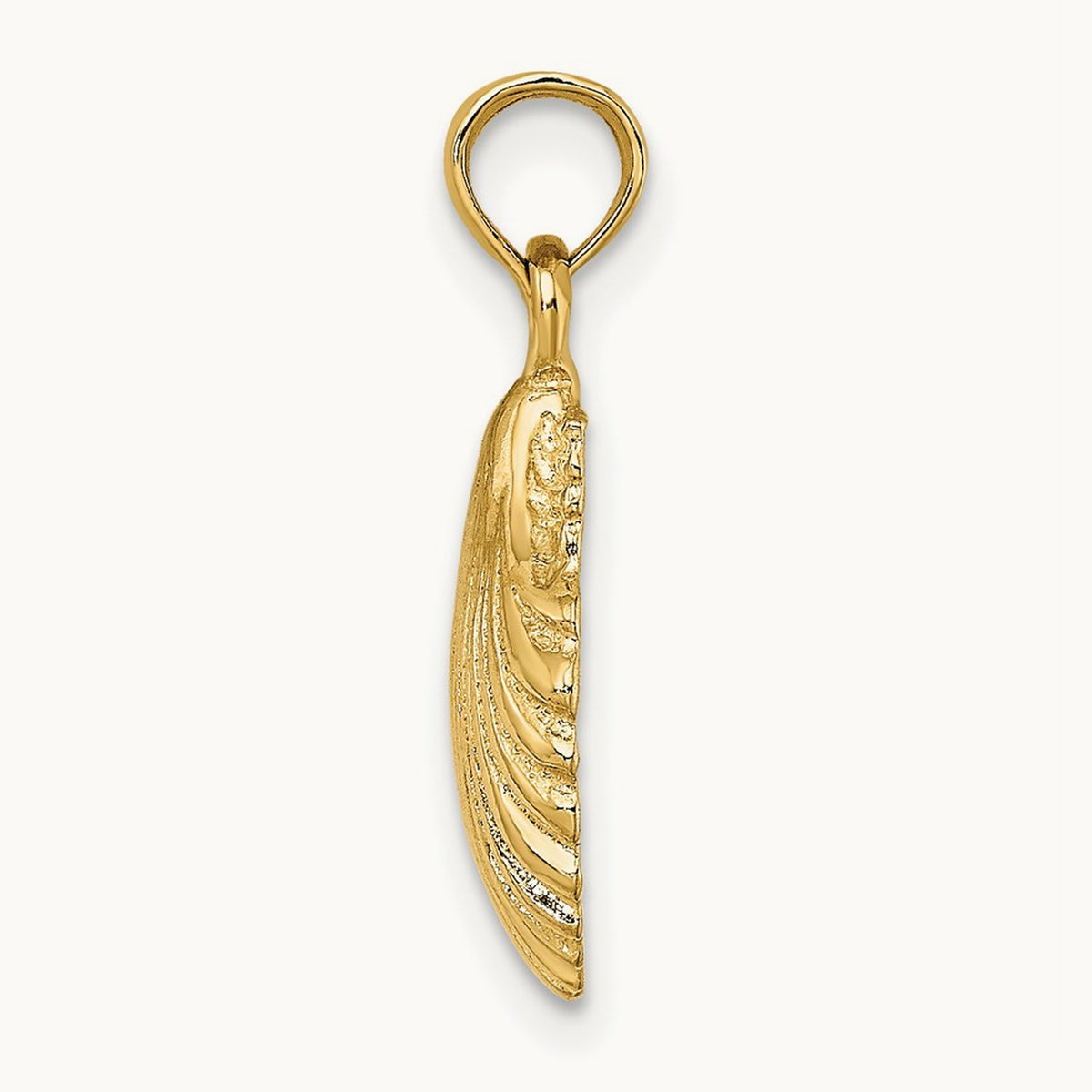 Polished Scallop Shell Charm — 22mm