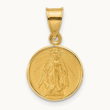 Polished and Satin Solid Miraculous Mary Plain Back Medal, 14K