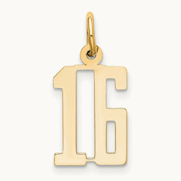 Small Elongated Number 16 Charm, 14K