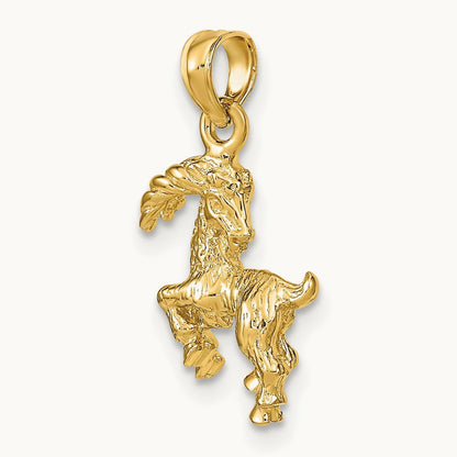 3-D Capricorn Zodiac Charm, 14K
