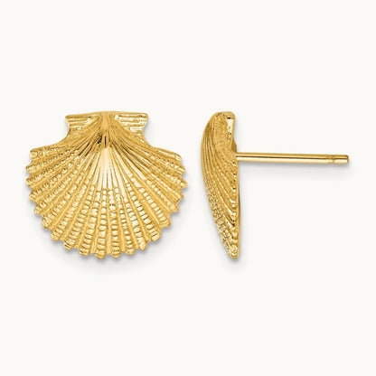 Scallop Shell Post Earrings, 14K