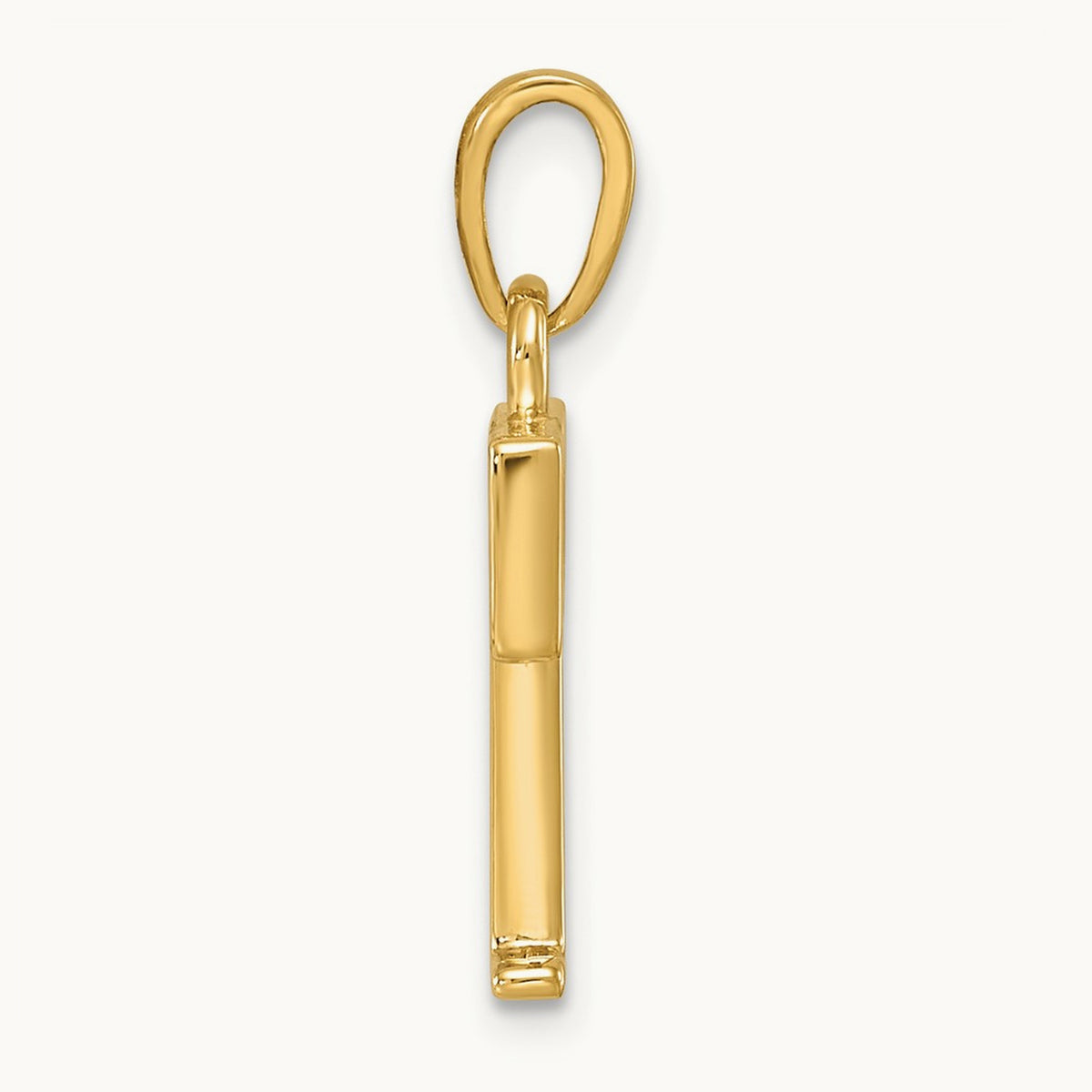 Polished Pendant — T