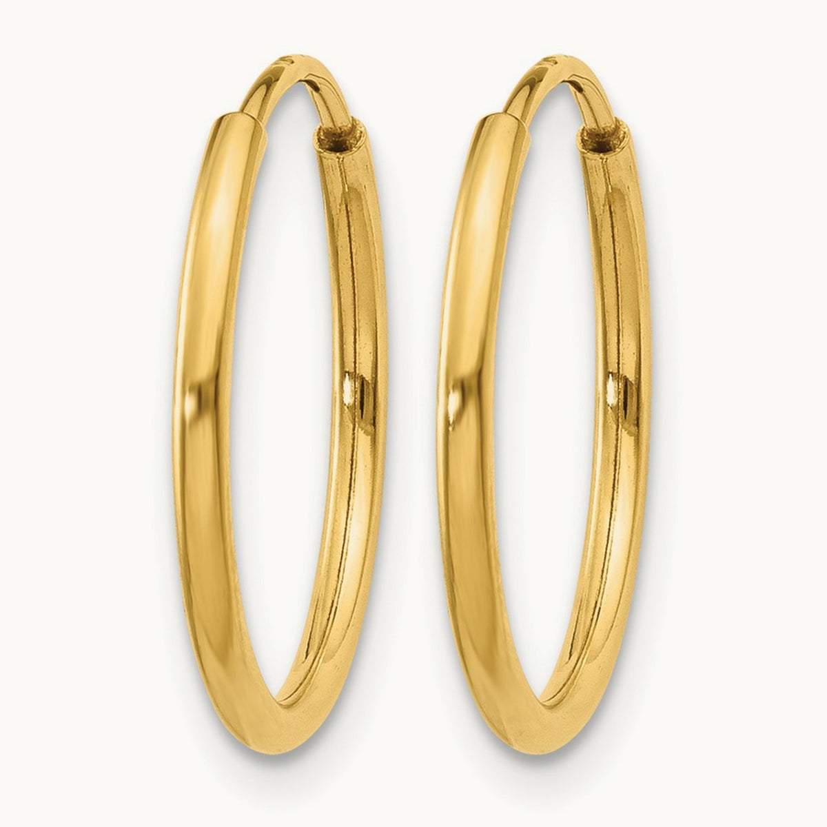Endless Hoop Earring, 14K — Leslie's