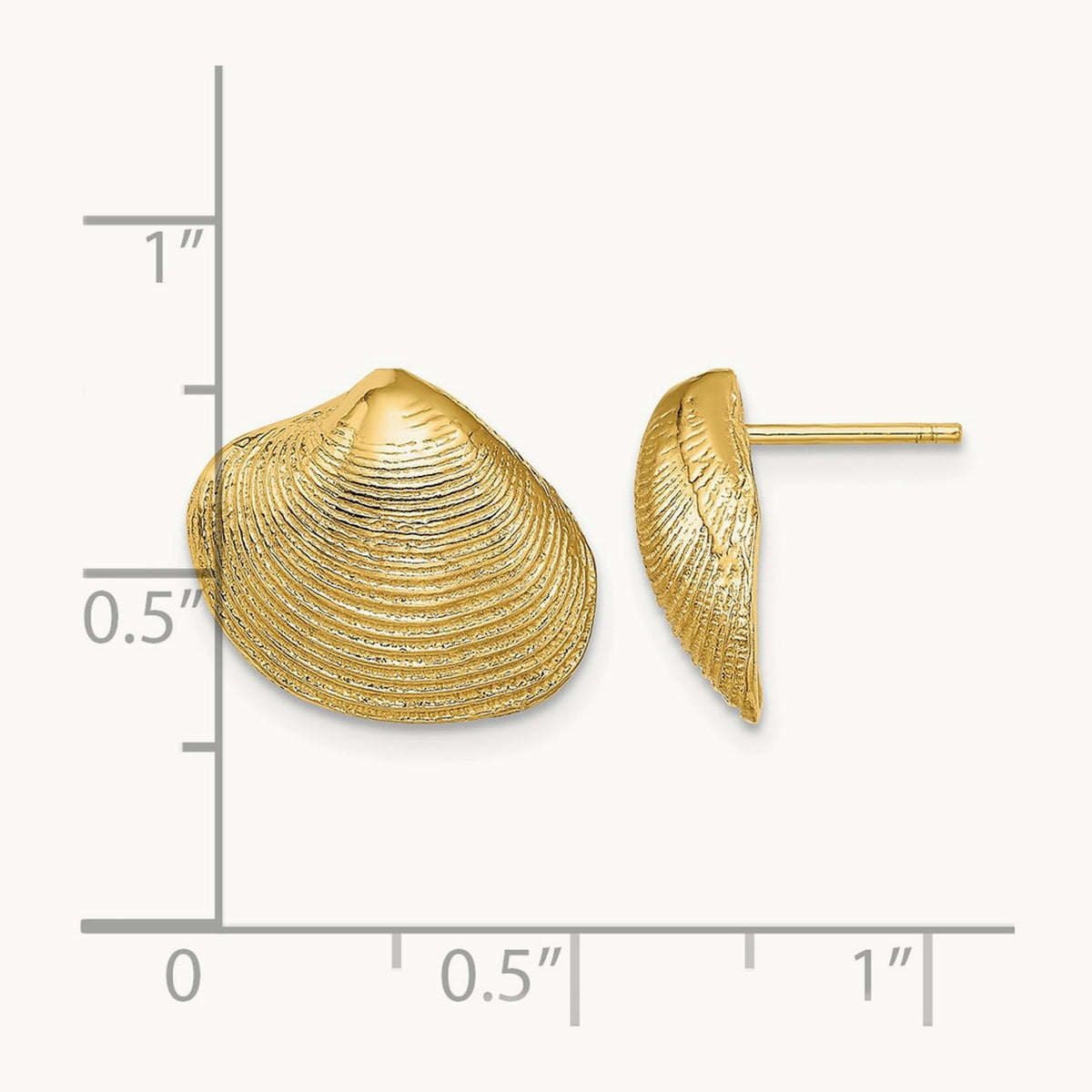 Clam Shell Post Earrings — 14K Yellow Gold, 12.65mm