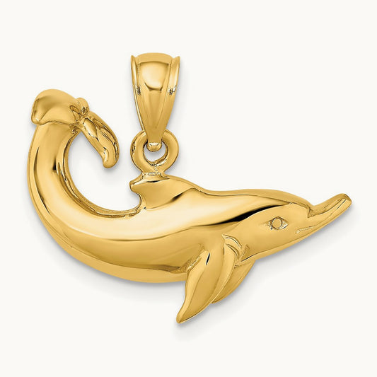 Polished Dolphin Charm — photo set