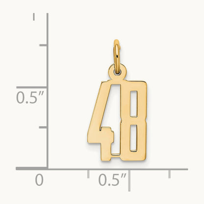 Small Elongated Number 48 Charm, 14K