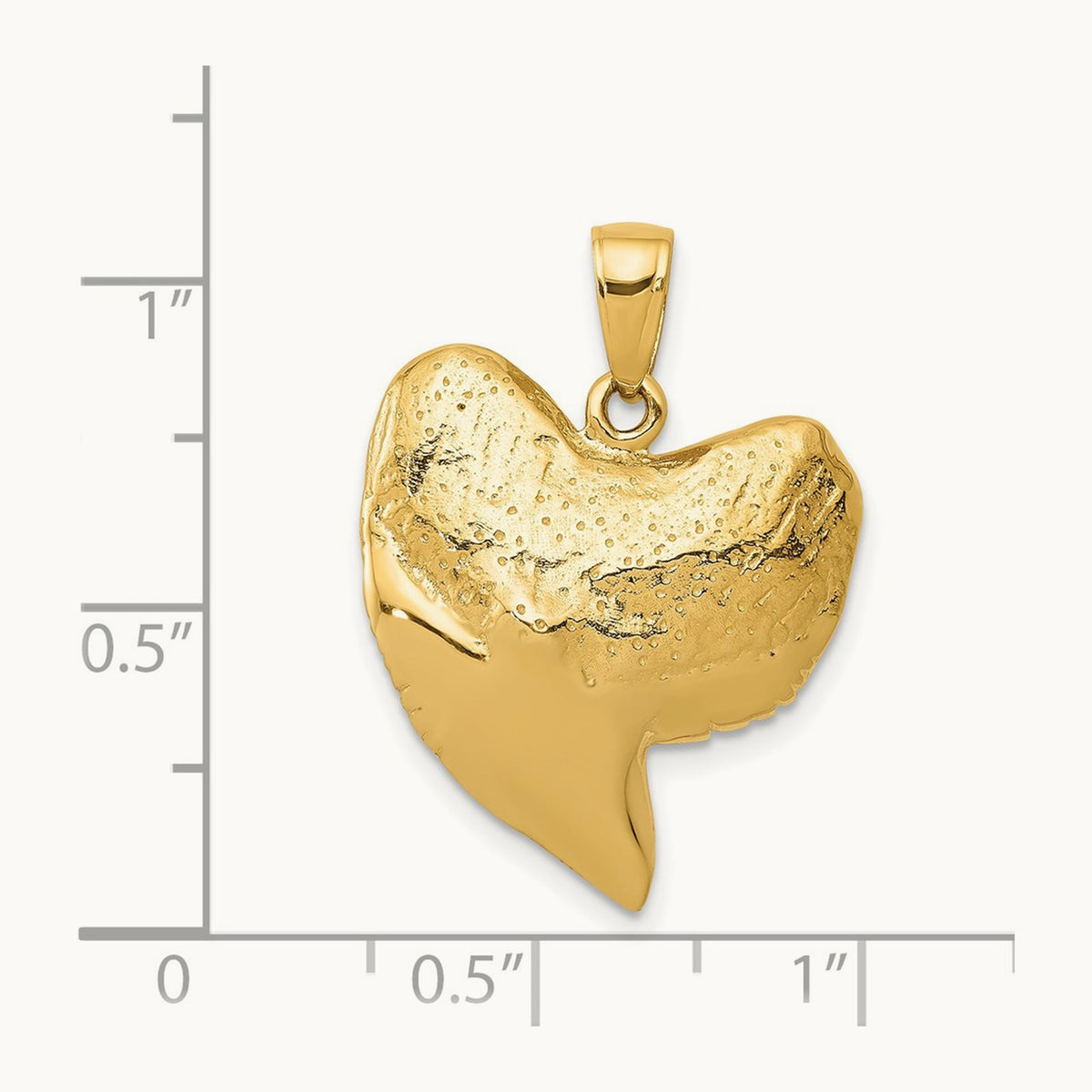 Solid Polished 3-D Shark Tooth Pendant — photo set