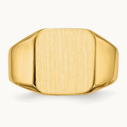 Open Back Mens Signet Ring — photo set