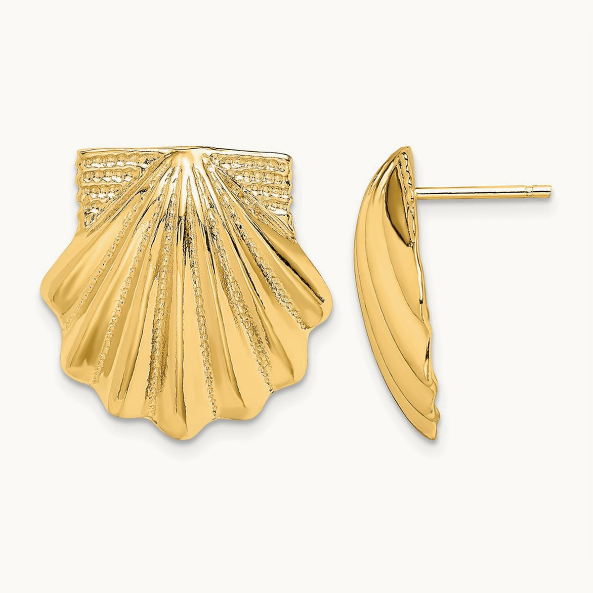 Scallop Shell Earrings, 14K
