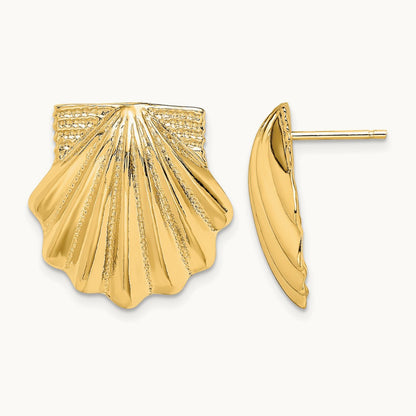 Scallop Shell Earrings, 14K