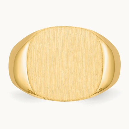 Open Back Mens Signet Ring — photo set