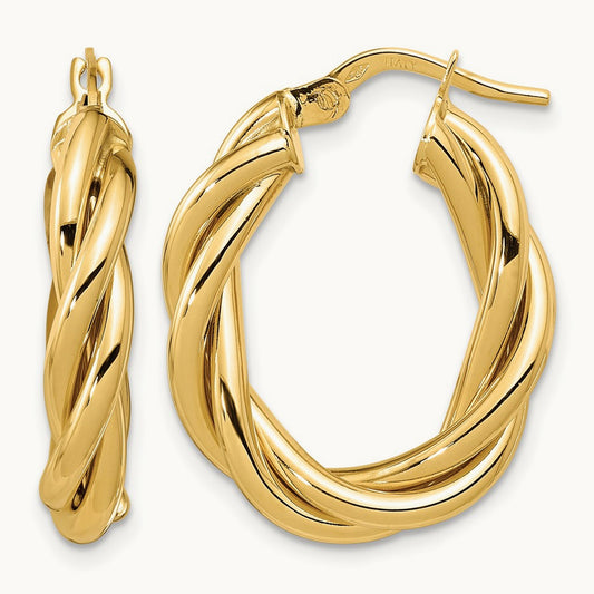 Polished Twisted Oval Hoop Earrings — Leslie's — photo set
