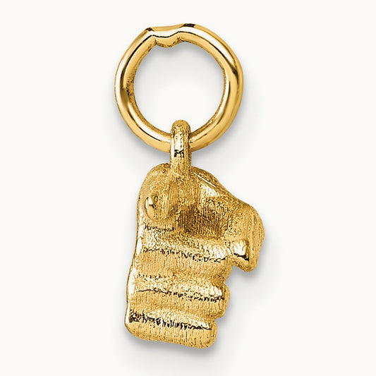 Polished 1-Finger Point Hand Pendant, 14K