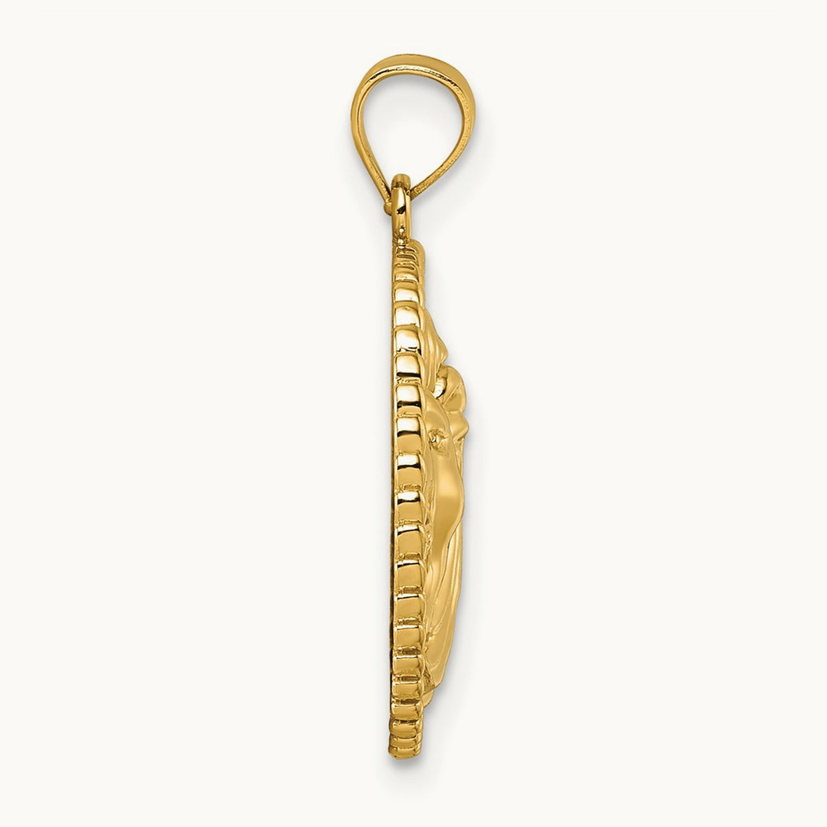 Polished Lion with Mane Circle Pendant, 14K