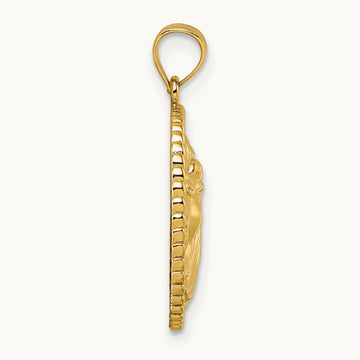 Polished Lion with Mane Circle Pendant, 14K