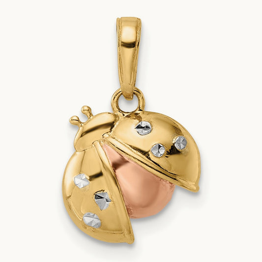 w/ and Diamond-cut Ladybug Pendant — photo set