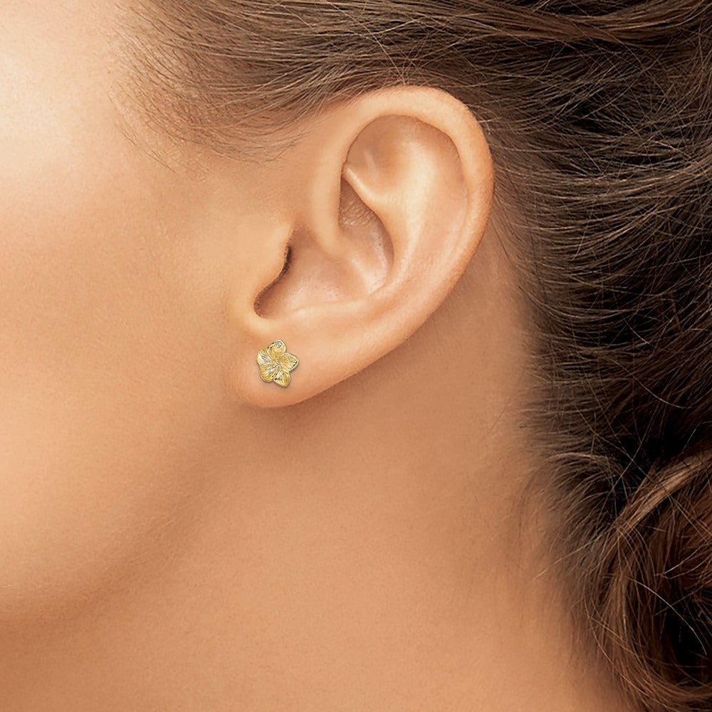 Plumeria Flower Post Earrings — 14K Yellow Gold, 7.2mm