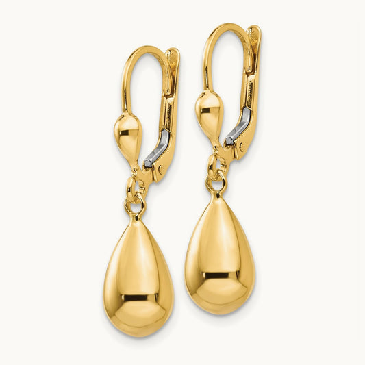 Polished Fancy Dangle Leverback Earrings, 14K