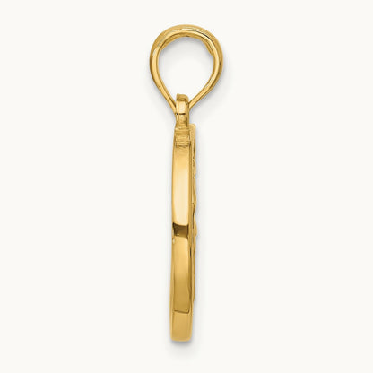 Polished Round Aquarius Pendant, 14K