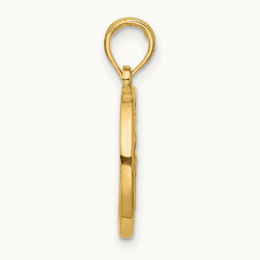 Polished Round Aquarius Pendant, 14K