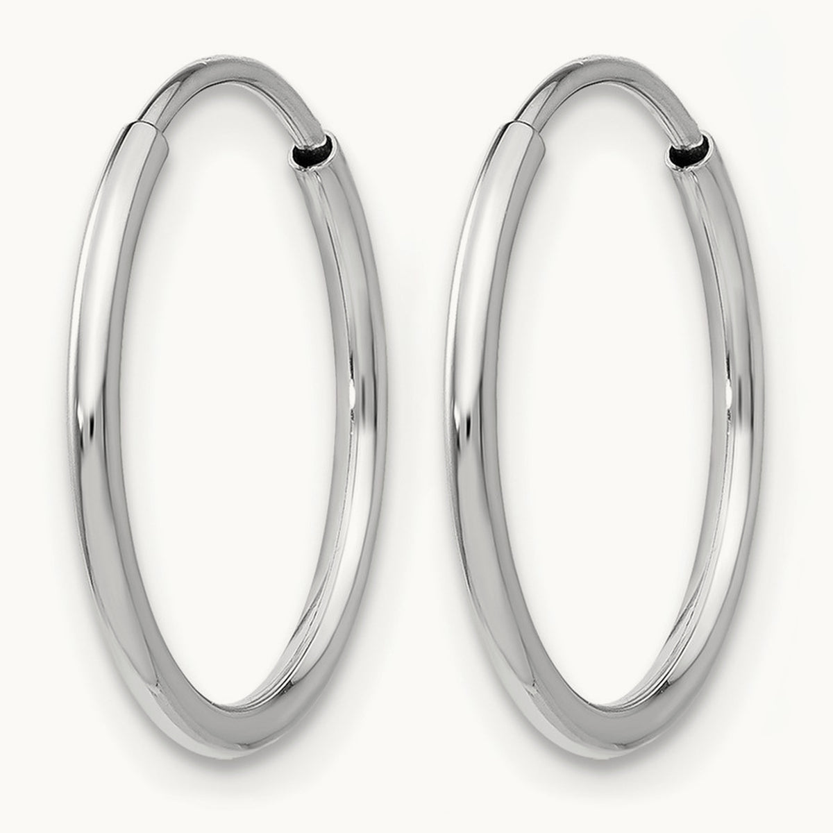 Endless Hoop Earring — Leslie's in 14K White Gold