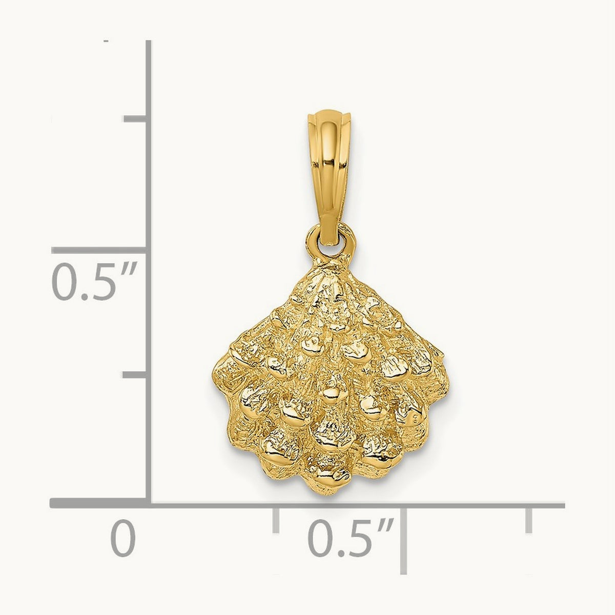 Textured Oyster Shell Charm — 17mm