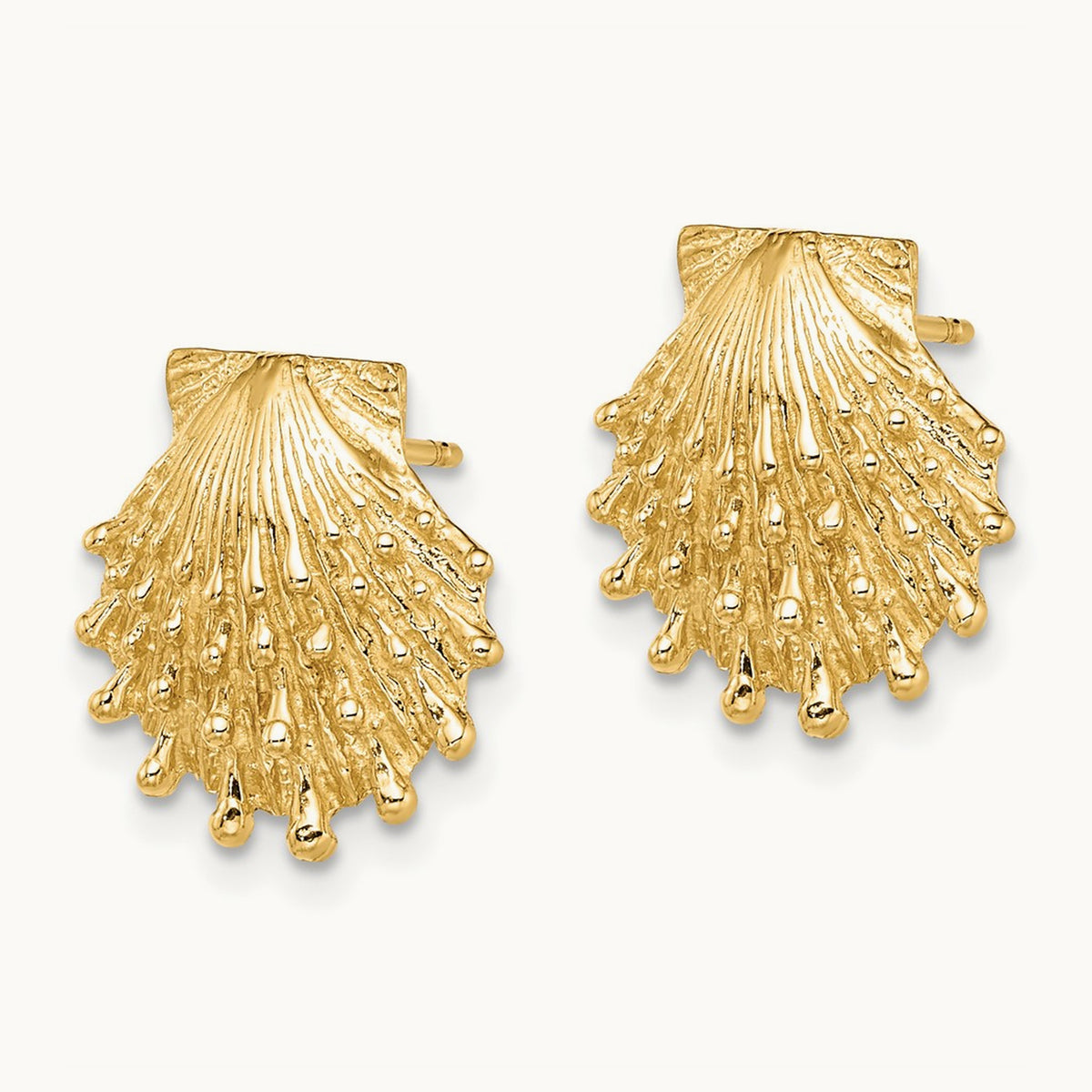 Lion's Paw Shell Post Earrings — 13.9mm