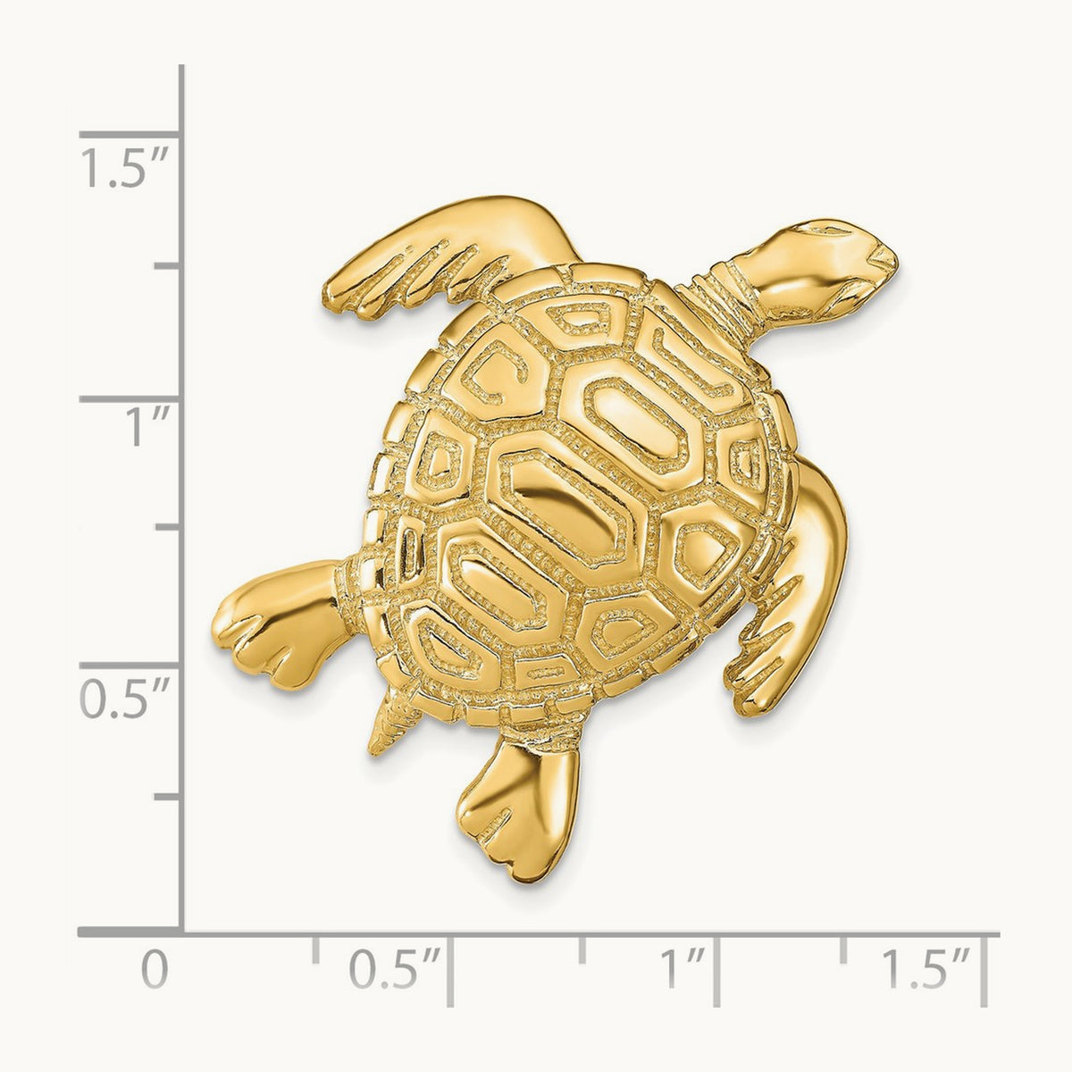Turtle Slide, 14K