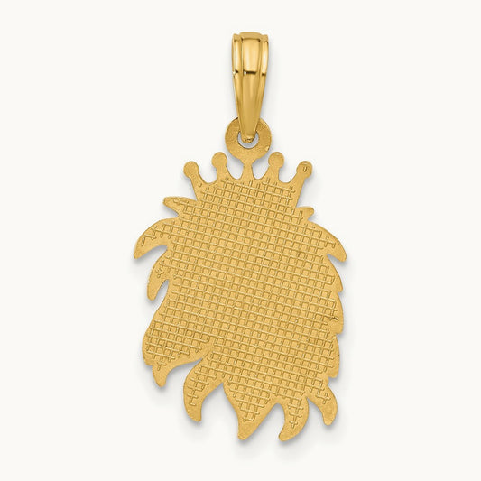Polished Lion Head with Crown Pendant, 14K
