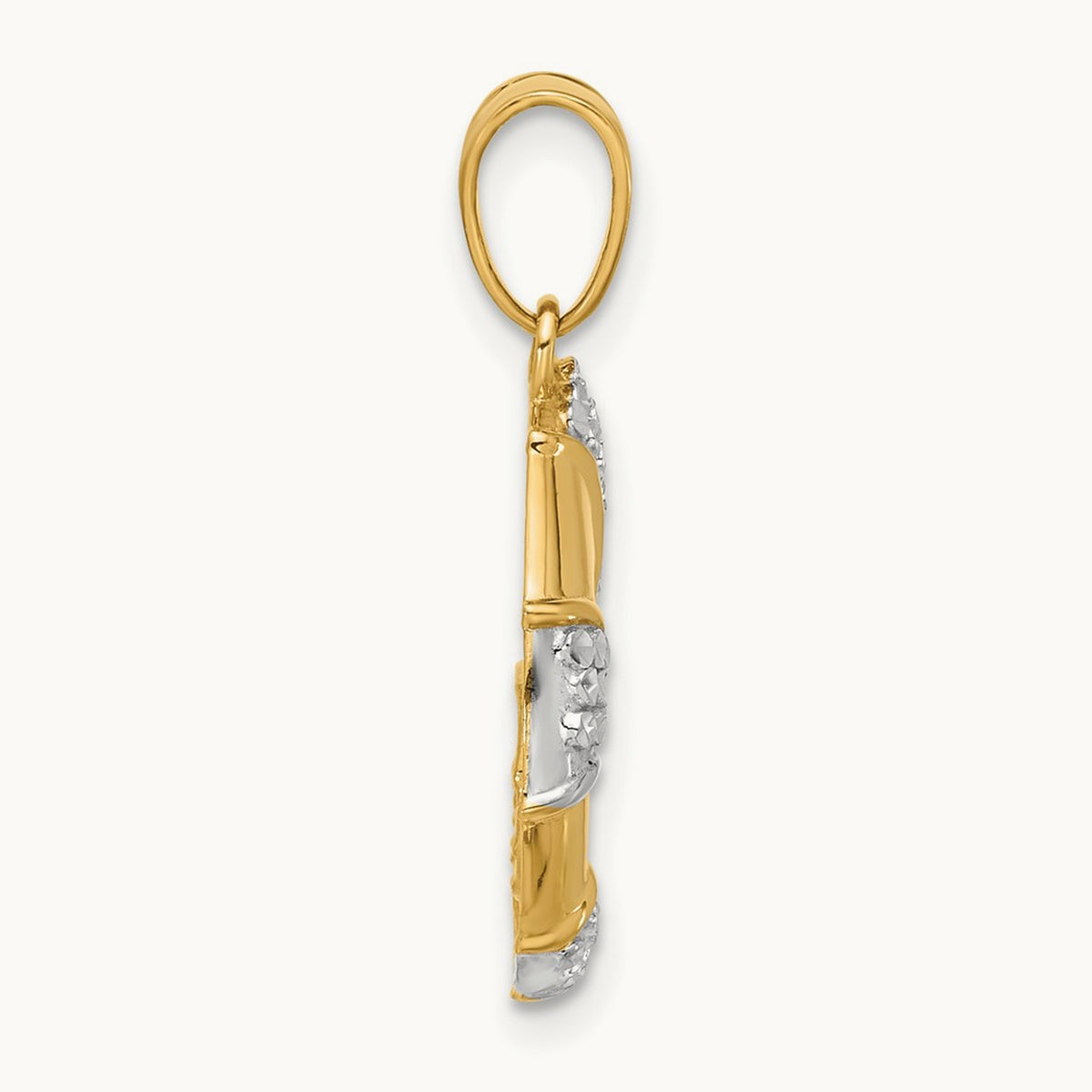 Polished and Diamond Cut Nautilus Shell Pendant, 14K with White Rhodium