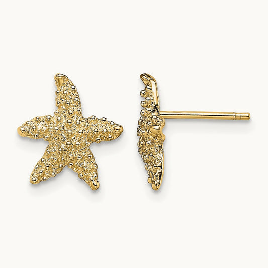 Textured Starfish Post Earrings, 14K