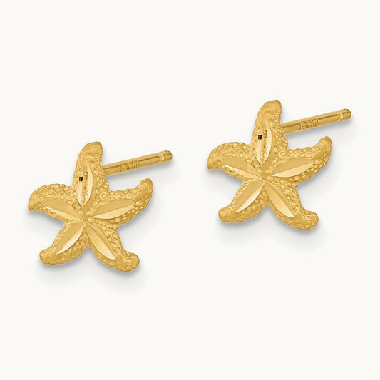 Satin Diamond-cut Starfish Post Earrings, 14K