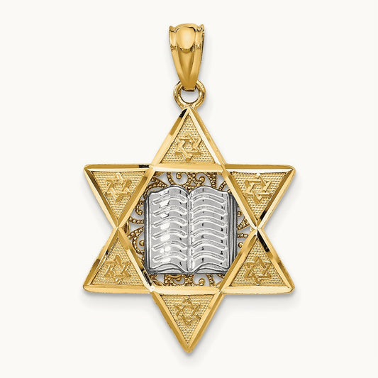 Star of David Reversible Pendant, 14K Two-tone