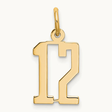 Small Elongated Number 12 Charm, 14K