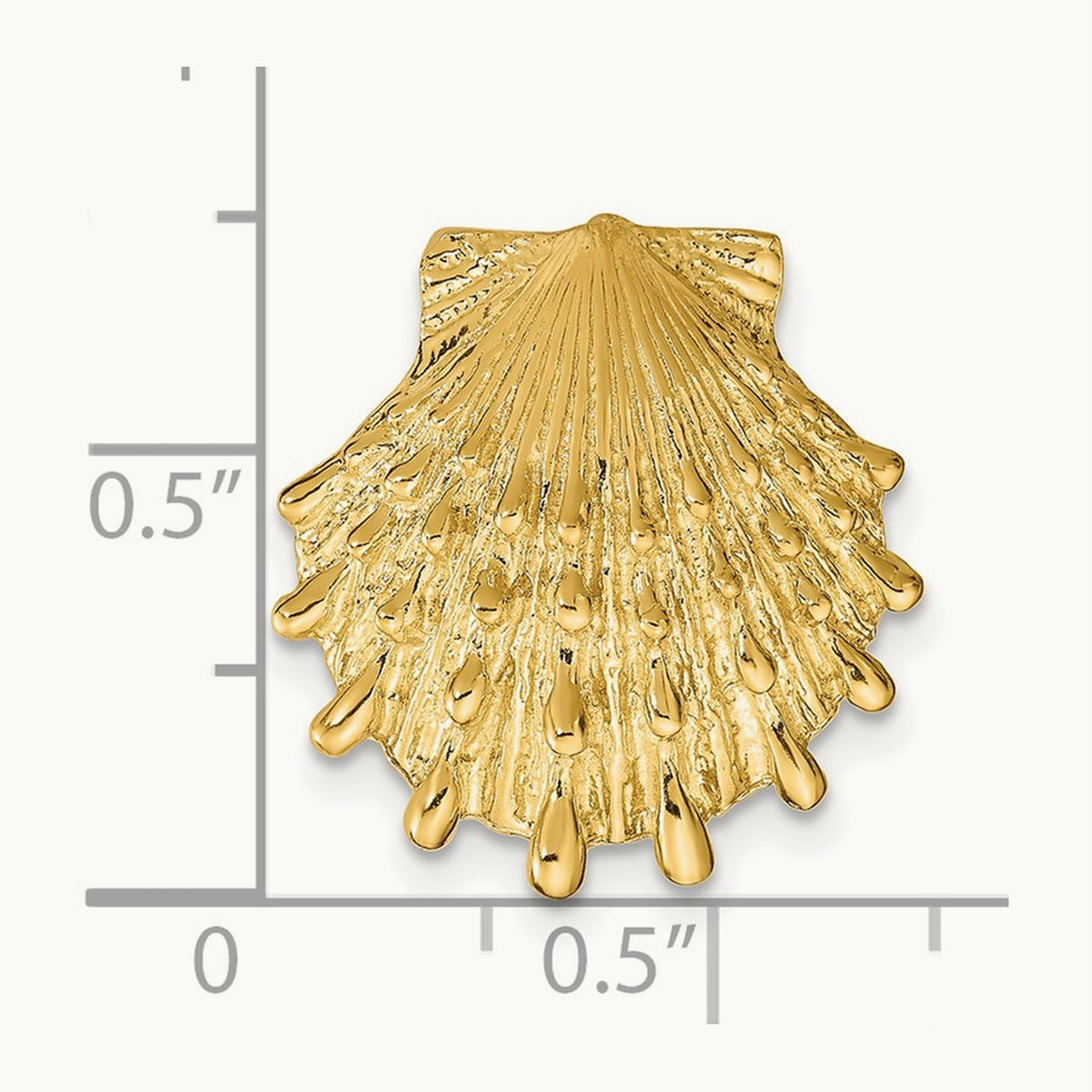 Lion's Paw Shell Slide, 14K