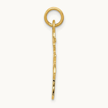 Solid Polished Chinese Long Life Charm — photo set