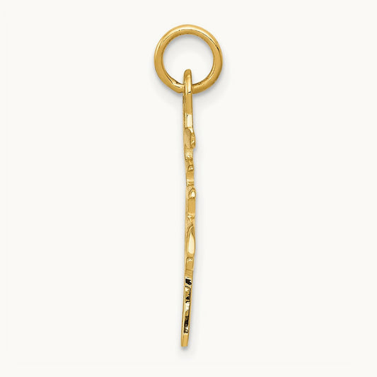 Solid Polished Chinese Long Life Charm — photo set