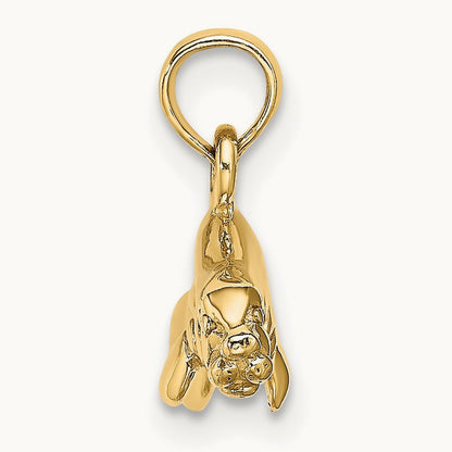 3-D Polished Swimming Manatee Charm — photo set