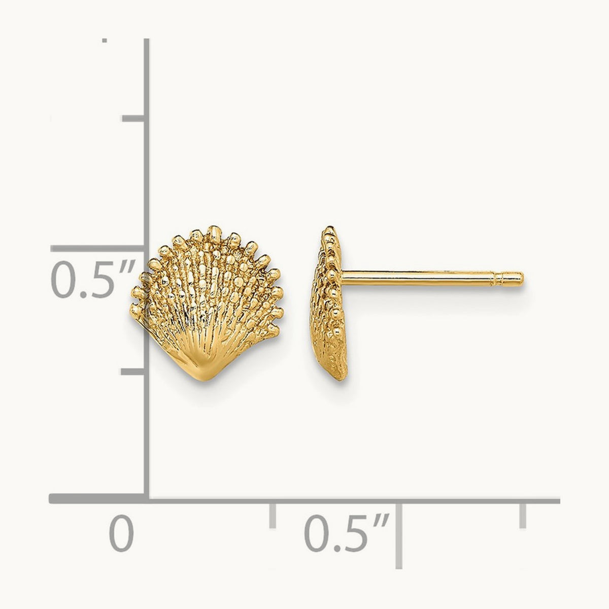 Scallop Shell Post Earrings, 14K