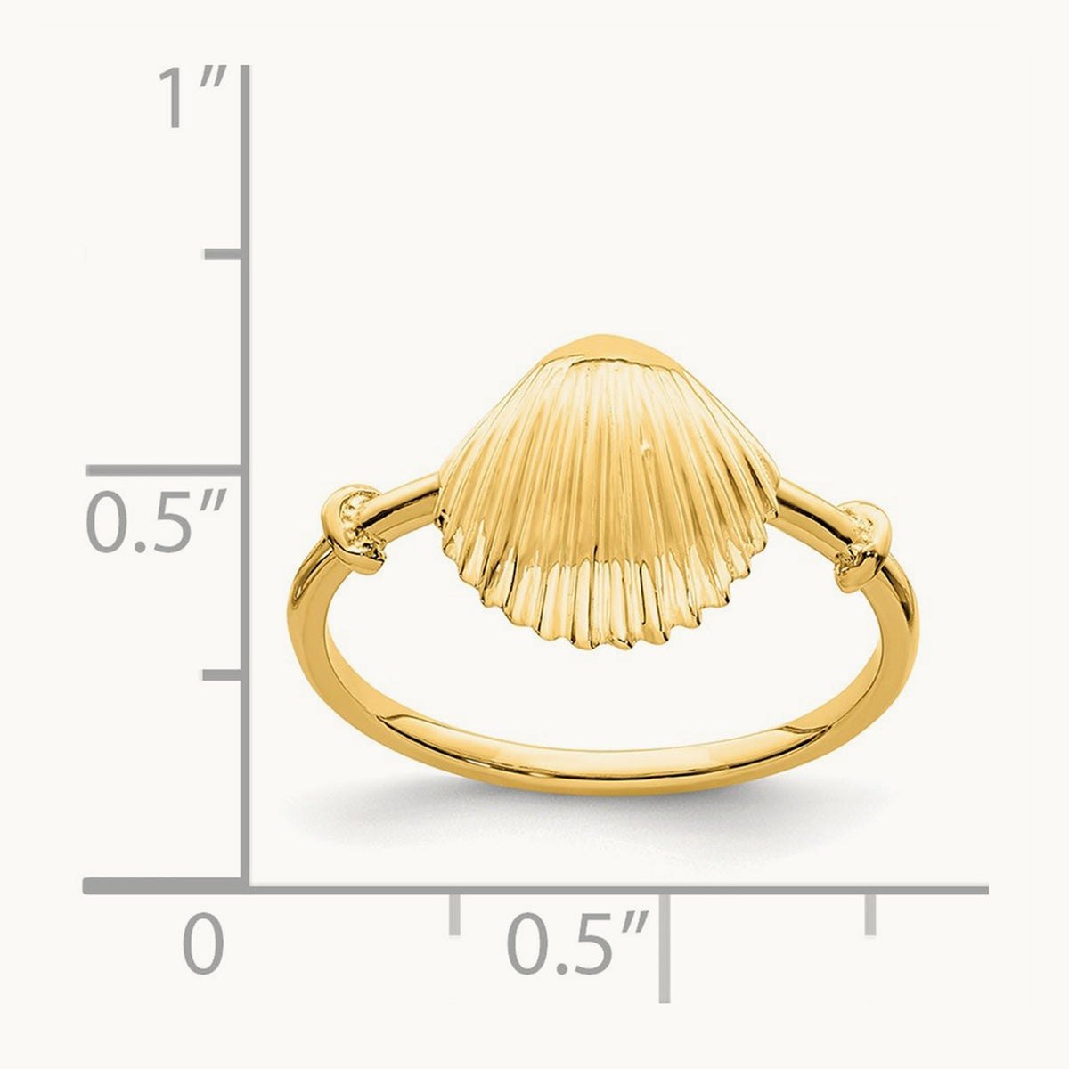 Polished Shell Ring, 14K